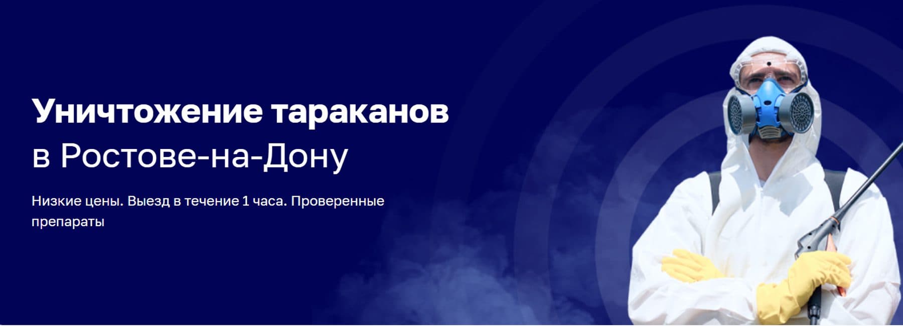 Сайт для компании дезинсектора «ДезПрофи»